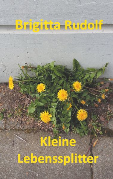 Cover von Kleine Lebenssplitter