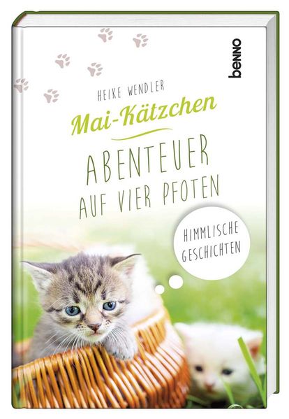 Cover von Mai-Kätzchen – Abenteuer auf vier Pfoten