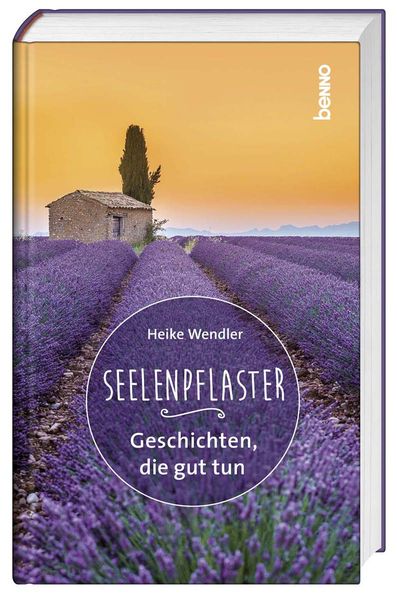 Cover von SeelenPflaster