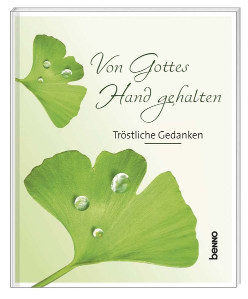 Cover von Von Gottes Hand gehalten