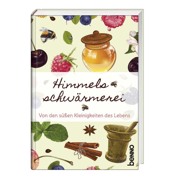 Cover von Himmelsschwärmerei
