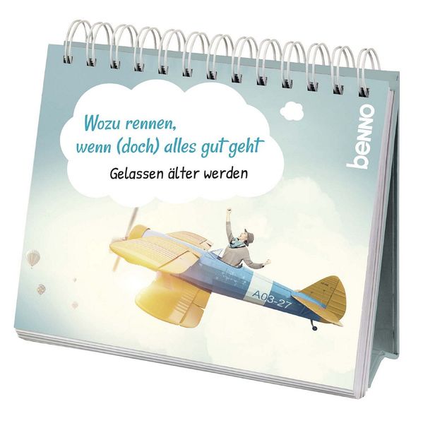 Cover von Wozu rennen, wenn (doch) alles gut geht