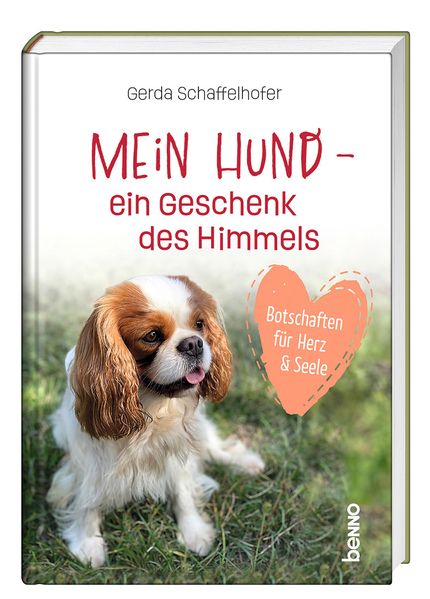 Cover von Mein Hund – ein Geschenk des Himmels