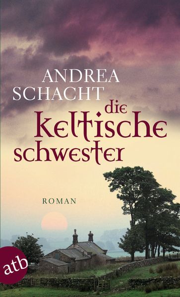 Cover von Die keltische Schwester