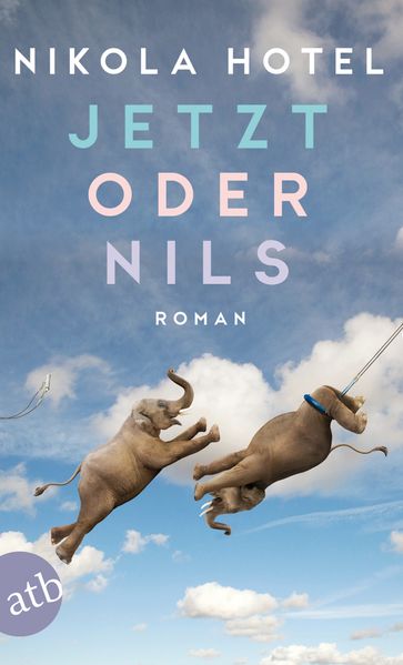 Cover von Jetzt oder Nils