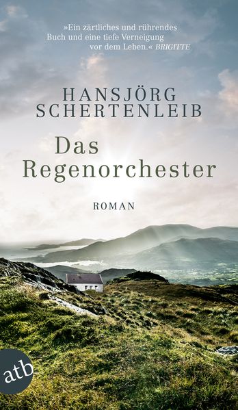 Cover von Das Regenorchester