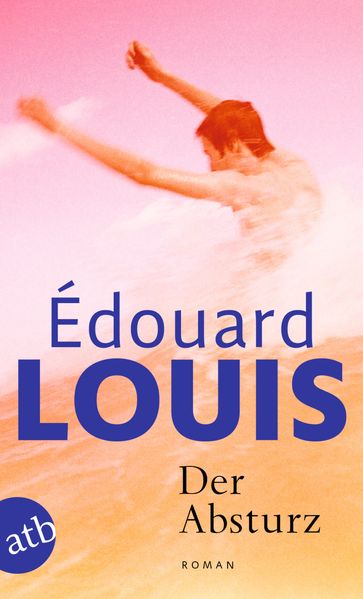 Cover von Der Absturz