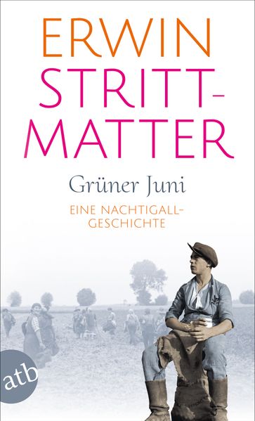 Cover von Grüner Juni