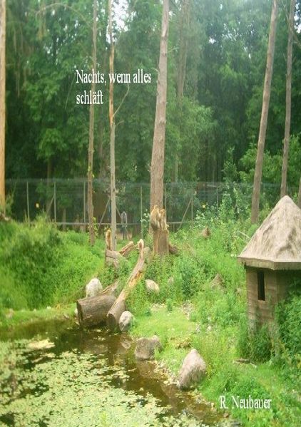 Cover von Nachts ,wenn alles schläft