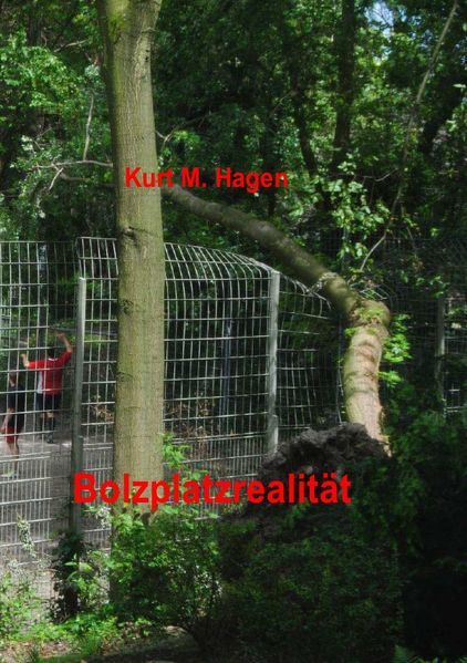 Cover von Bolzplatzrealität