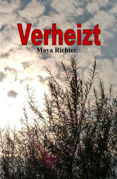 Cover von Verheizt