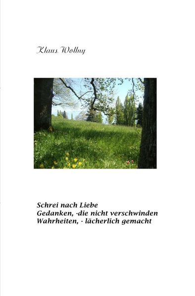 Cover von Schrei nach Liebe. Gedanken, – die nicht verschwinden. Wahrheiten, – lächerlich gemacht