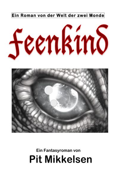 Cover von Feenkind