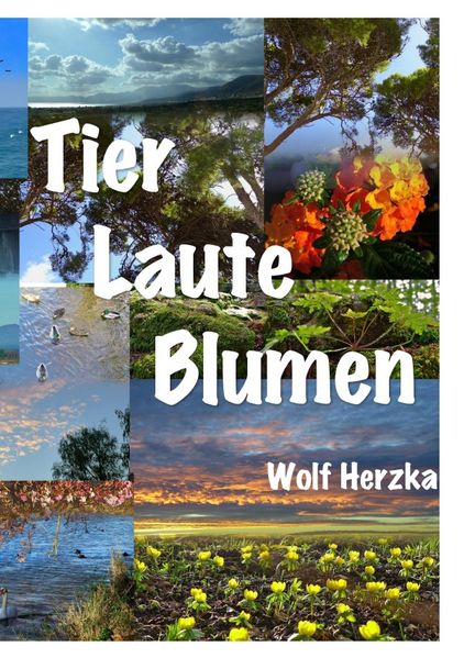 Cover von Tier – Laute – Blumen