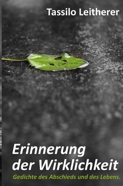 Cover von Erinnerung der Wirklichkeit
