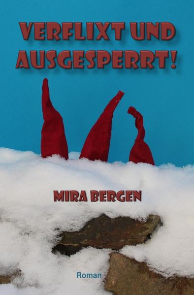 Cover von Verflixt und ausgesperrt!