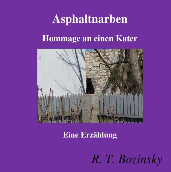 Cover von Asphaltnarben