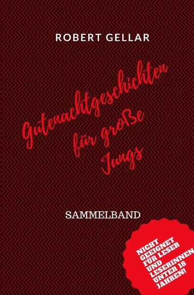 Cover von Gutenachtgeschichten für große Jungs