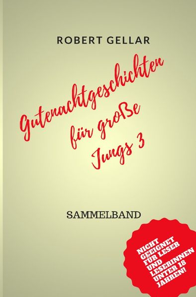 Cover von Gutenachtgeschichten für große Jungs 3