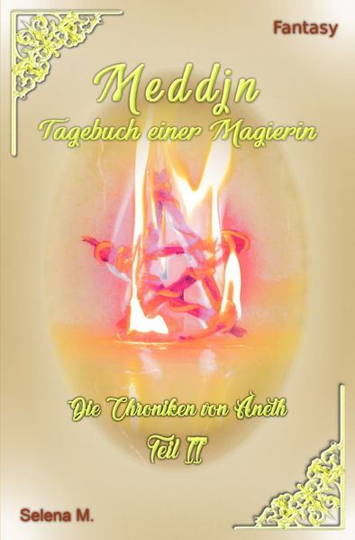 Cover von Die Chroniken von Aneth / Meddjn – Tagebuch einer Magierin