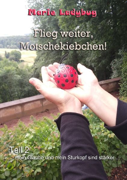 Cover von Flieg weiter, Motschekiebchen
