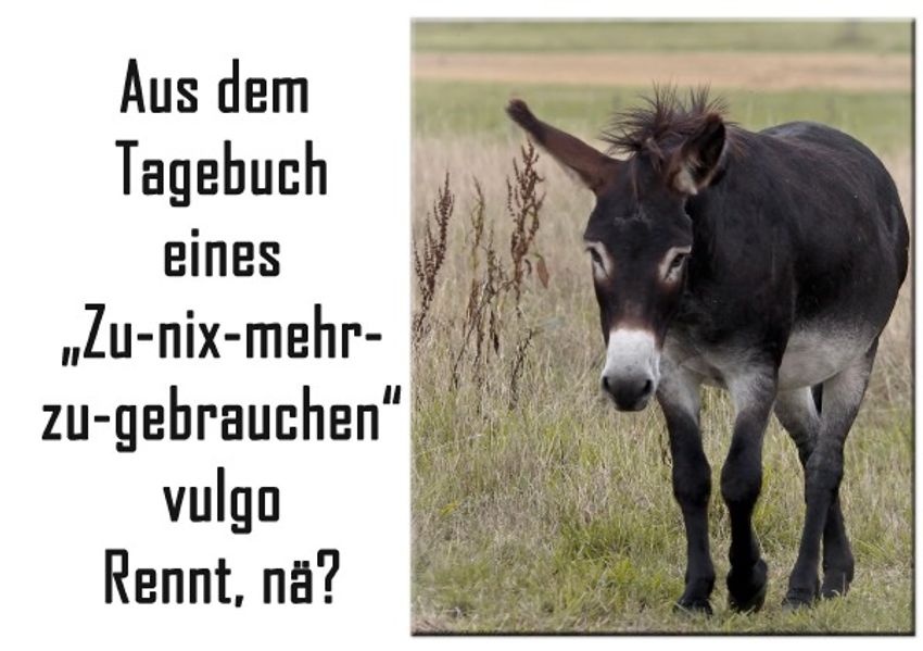 Cover von Aus dem Tagebuch eines…