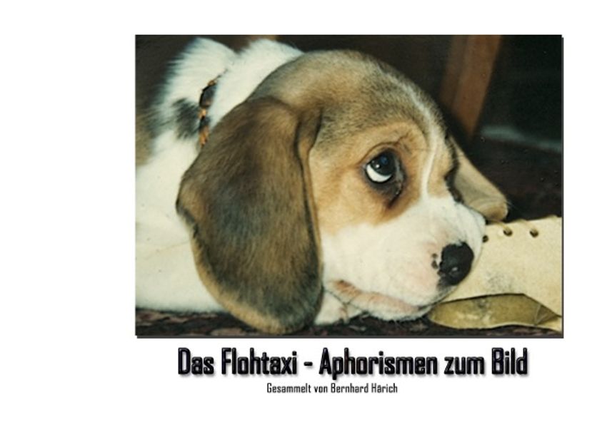 Cover von Das Flohtaxi – Aphorismen zum Bild