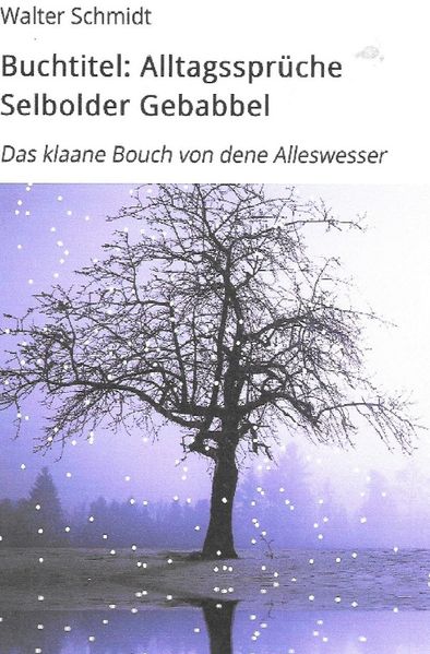 Cover von Alltagssprüche Selbolder Gebabbel