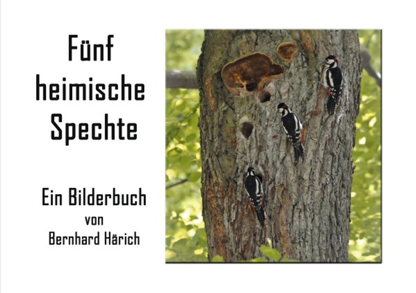 Cover von Das Flohtaxi in Bild und Aphorismus