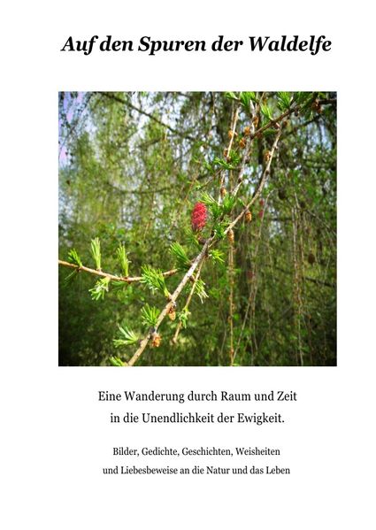 Cover von Auf den Spuren der Waldelfe
