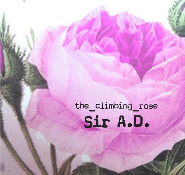 Cover von Sir A.D.