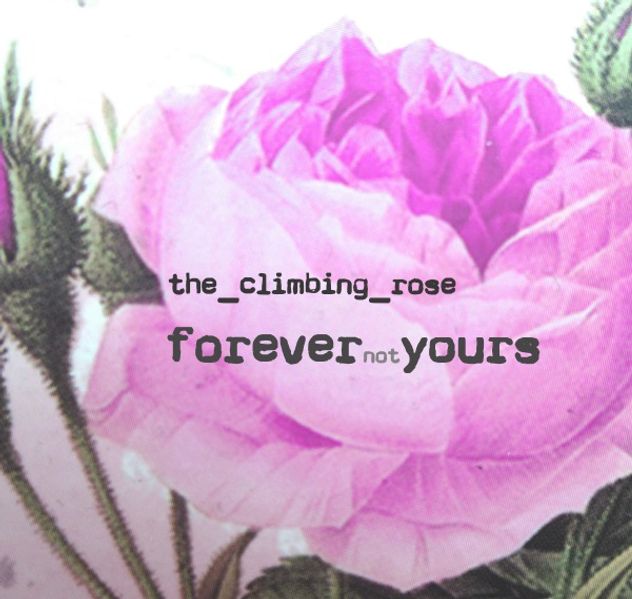 Cover von forevernotyours