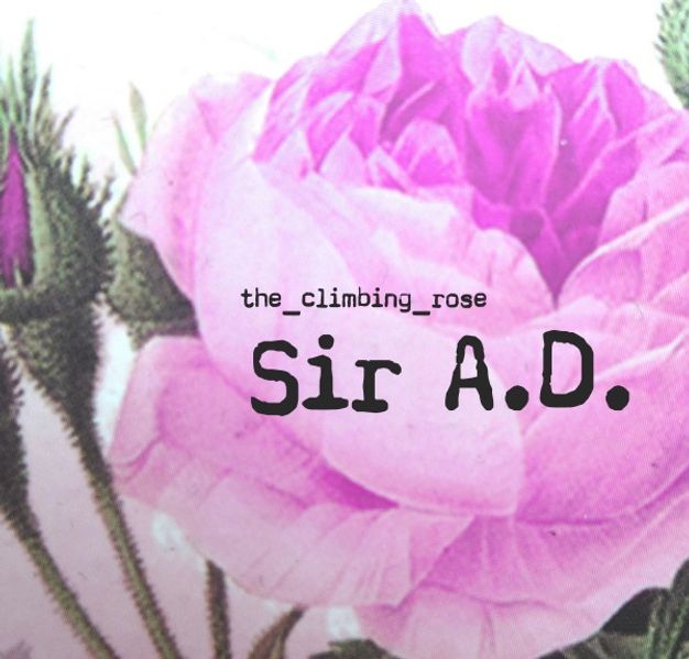 Cover von Sir A.D.