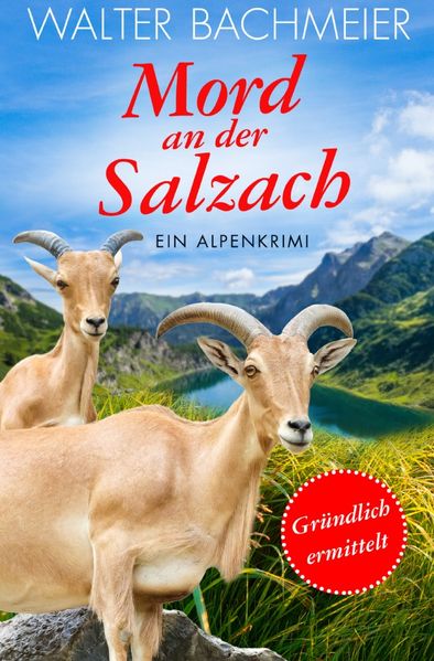 Cover von Inspektor Tina Gründlich / Mord an der Salzach