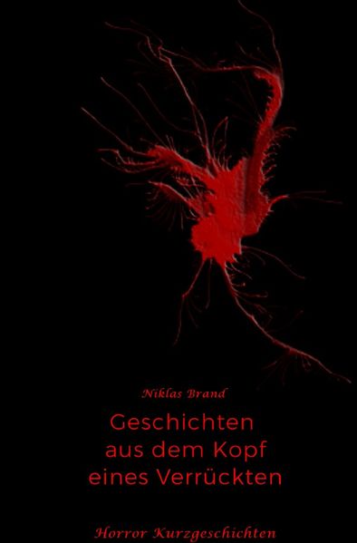 Cover von Geschichten aus dem Kopf eines Verrückten