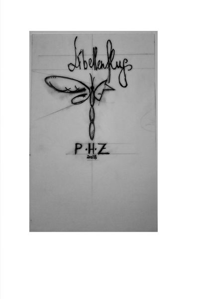 Cover von Libellenflug