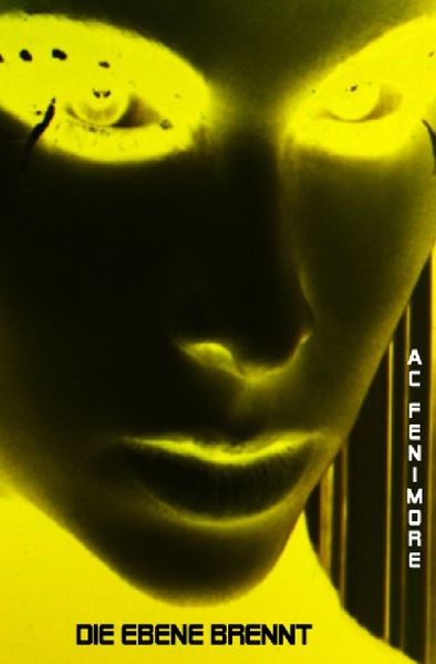 Cover von Die Ebene brennt