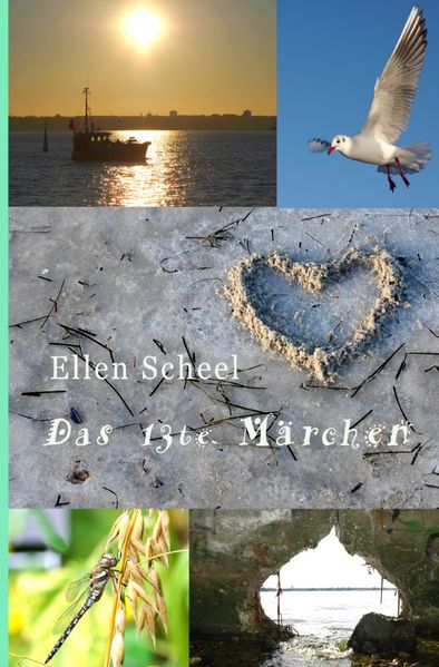 Cover von Das 13te Märchen