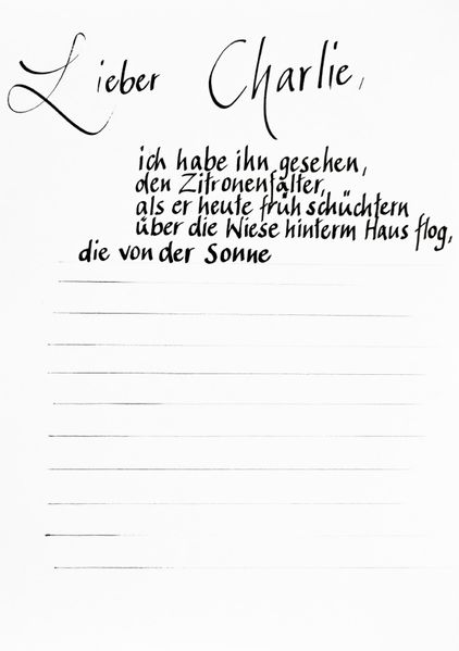 Cover von Lieber Charlie