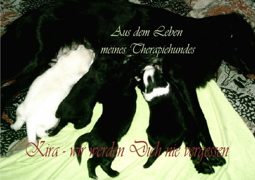 Cover von Aus dem Leben meines Therapiehundes