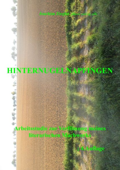 Cover von Hinternugelnapfingen Arbeitsstudie zur Verfilmung meines literarischen Machwerks; 3.Auflage