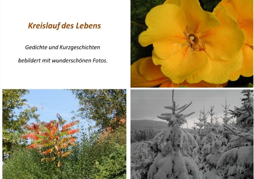 Cover von Kreislauf des Lebens