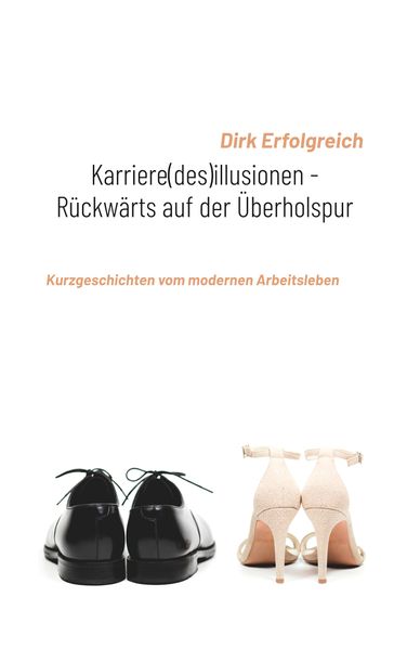 Cover von Karriere(des)illusionen – Rückwärts auf der Überholspur