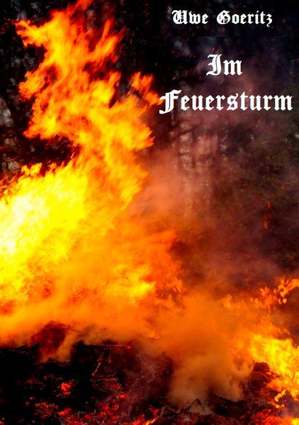 Cover von Im Feuersturm