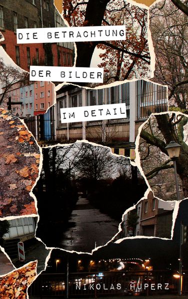 Cover von Die Betrachtung der Bilder im Detail