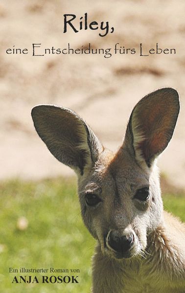 Cover von Riley, eine Entscheidung fürs Leben