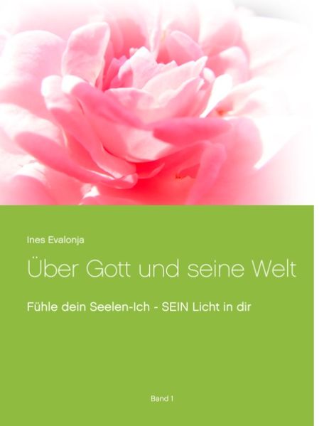 Cover von Über Gott und seine Welt