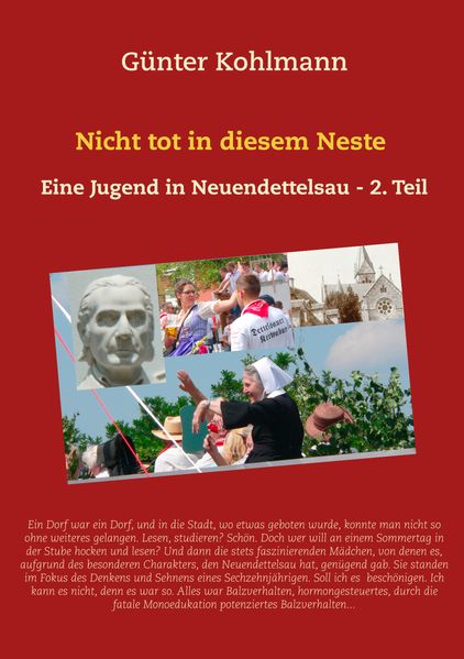 Cover von Nicht tot in diesem Neste. Zweiter Teil