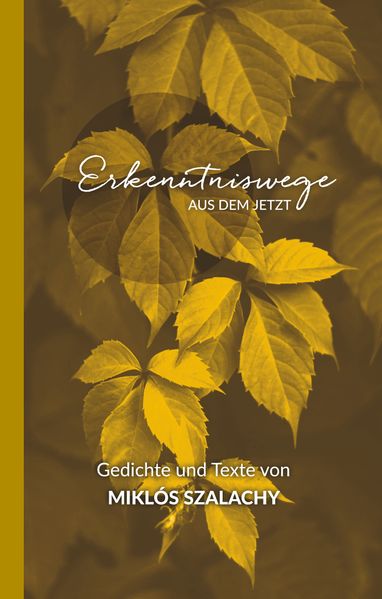 Cover von Erkenntniswege aus dem Jetzt