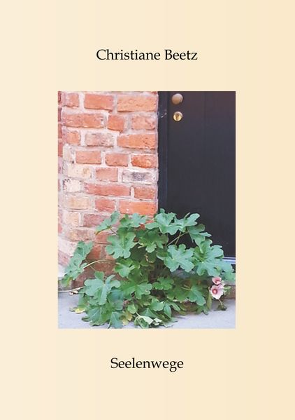 Cover von Seelenwege